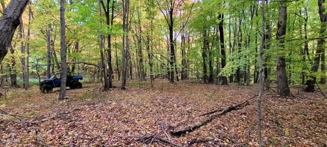 $189,000 | Thompson Trail, Winfield, TN 37892