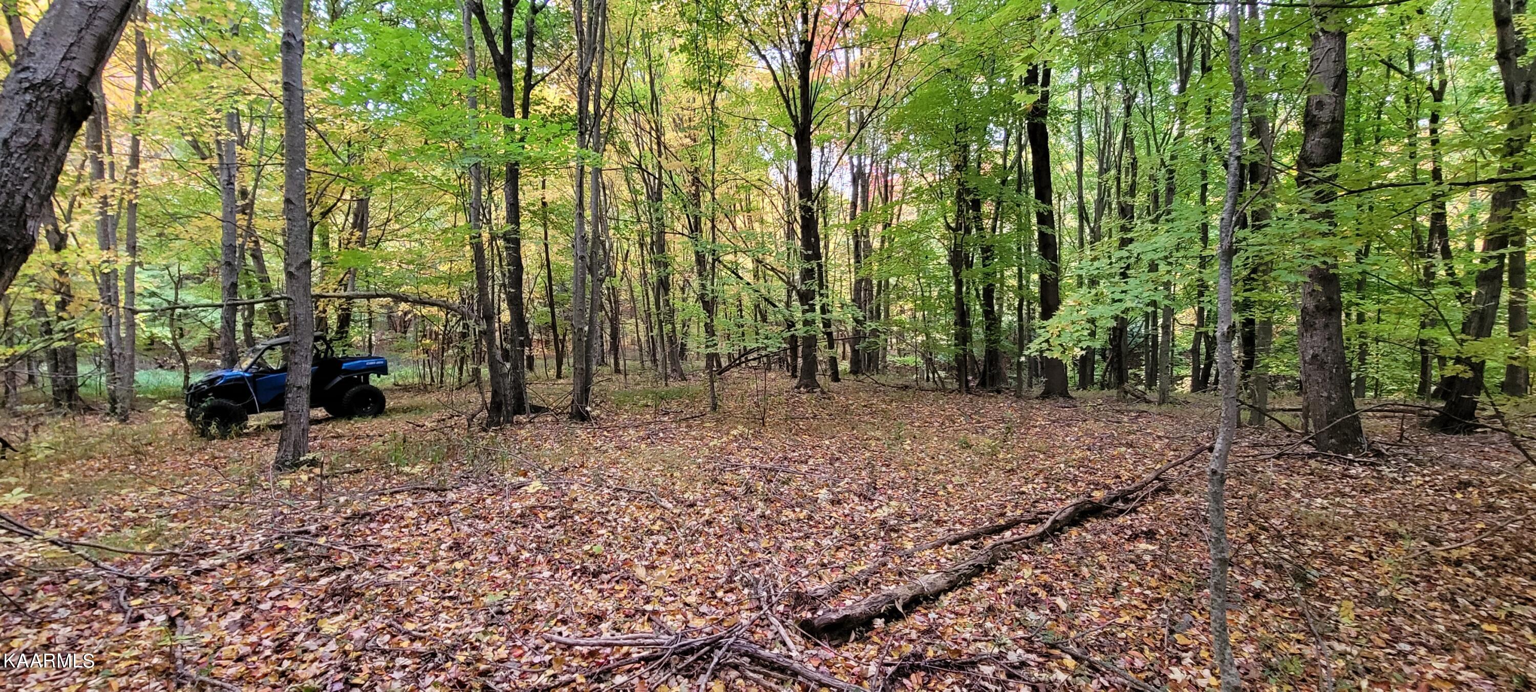 Thompson Trail Winfield, TN 37892 - Photo 14 of 40 Pic #15