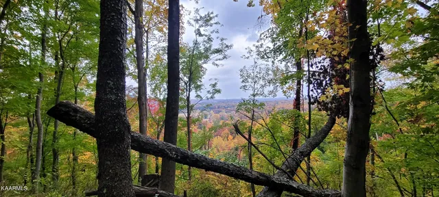 $189,000 | Thompson Trail, Winfield, TN 37892