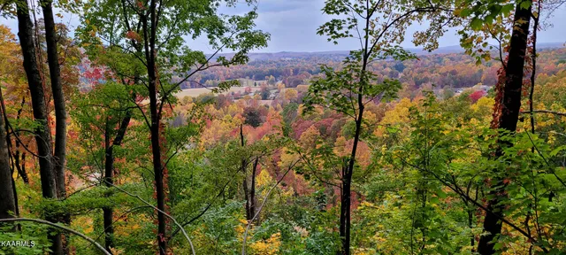 $189,000 | Thompson Trail, Winfield, TN 37892