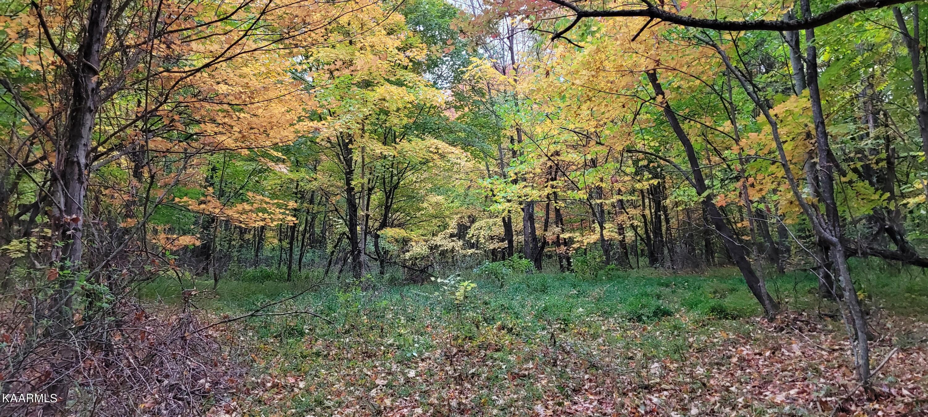 Thompson Trail Winfield, TN 37892 - Photo 17 of 40 Pic #18