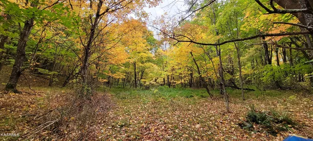 $189,000 | Thompson Trail, Winfield, TN 37892