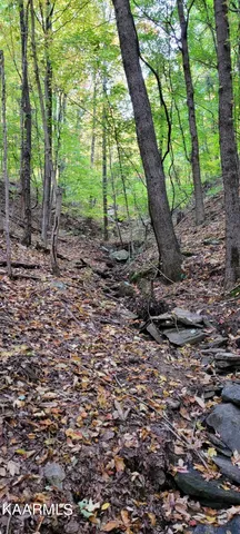 $189,000 | Thompson Trail, Winfield, TN 37892