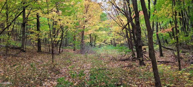 $189,000 | Thompson Trail, Winfield, TN 37892