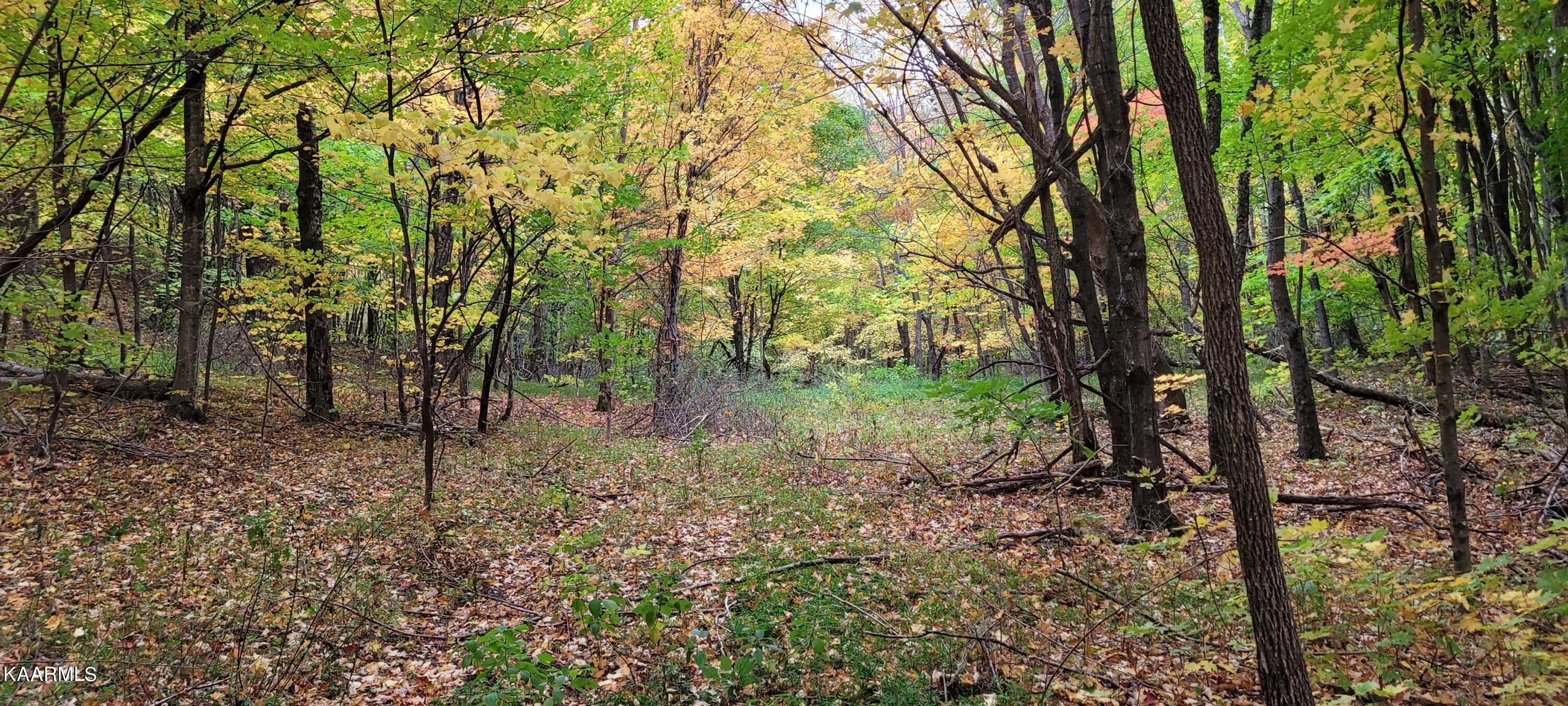 Thompson Trail Winfield, TN 37892 - Photo 20 of 40 Pic #22