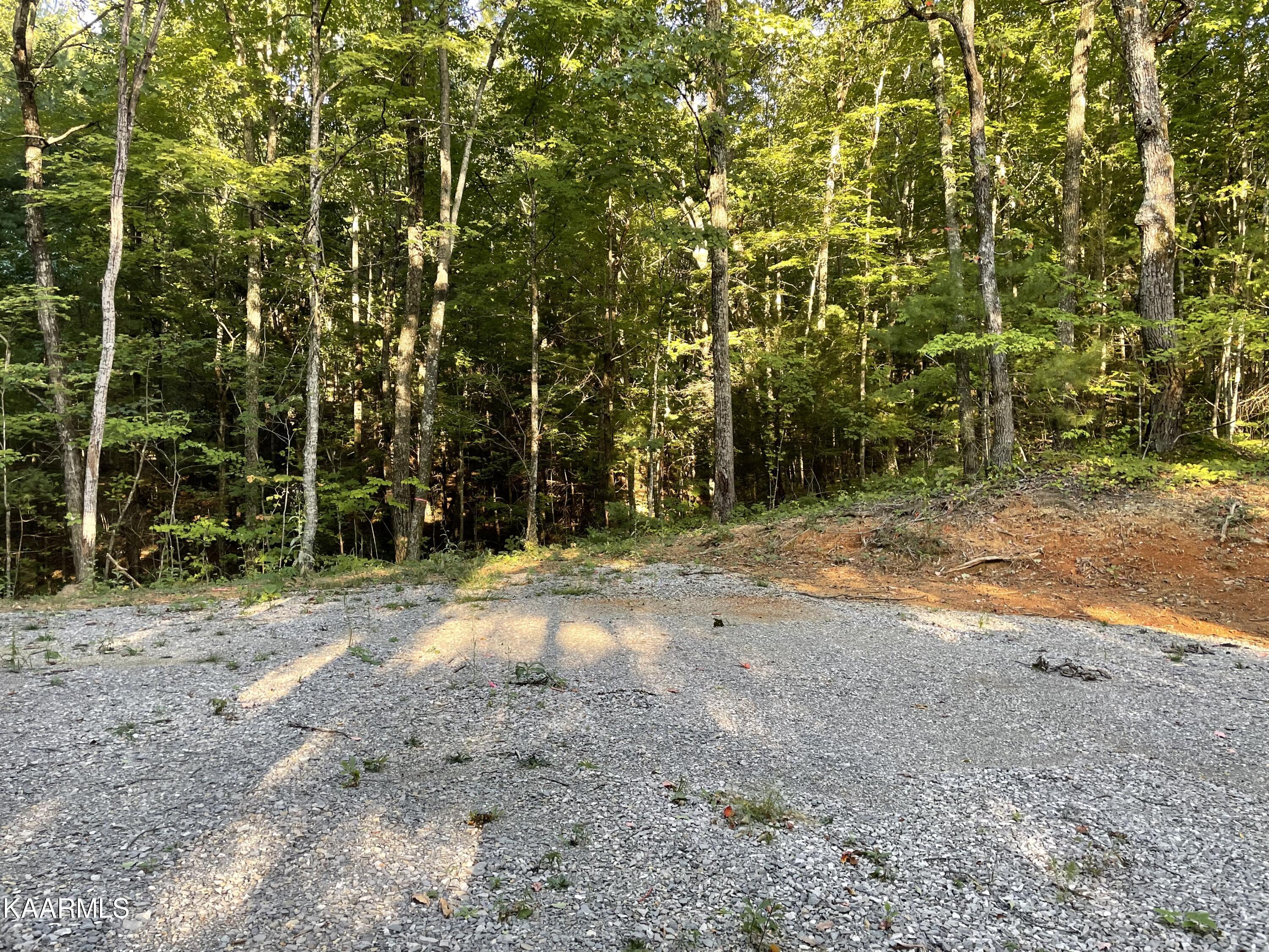 Thompson Trail Winfield, TN 37892 - Photo 2 of 40 Pic #2