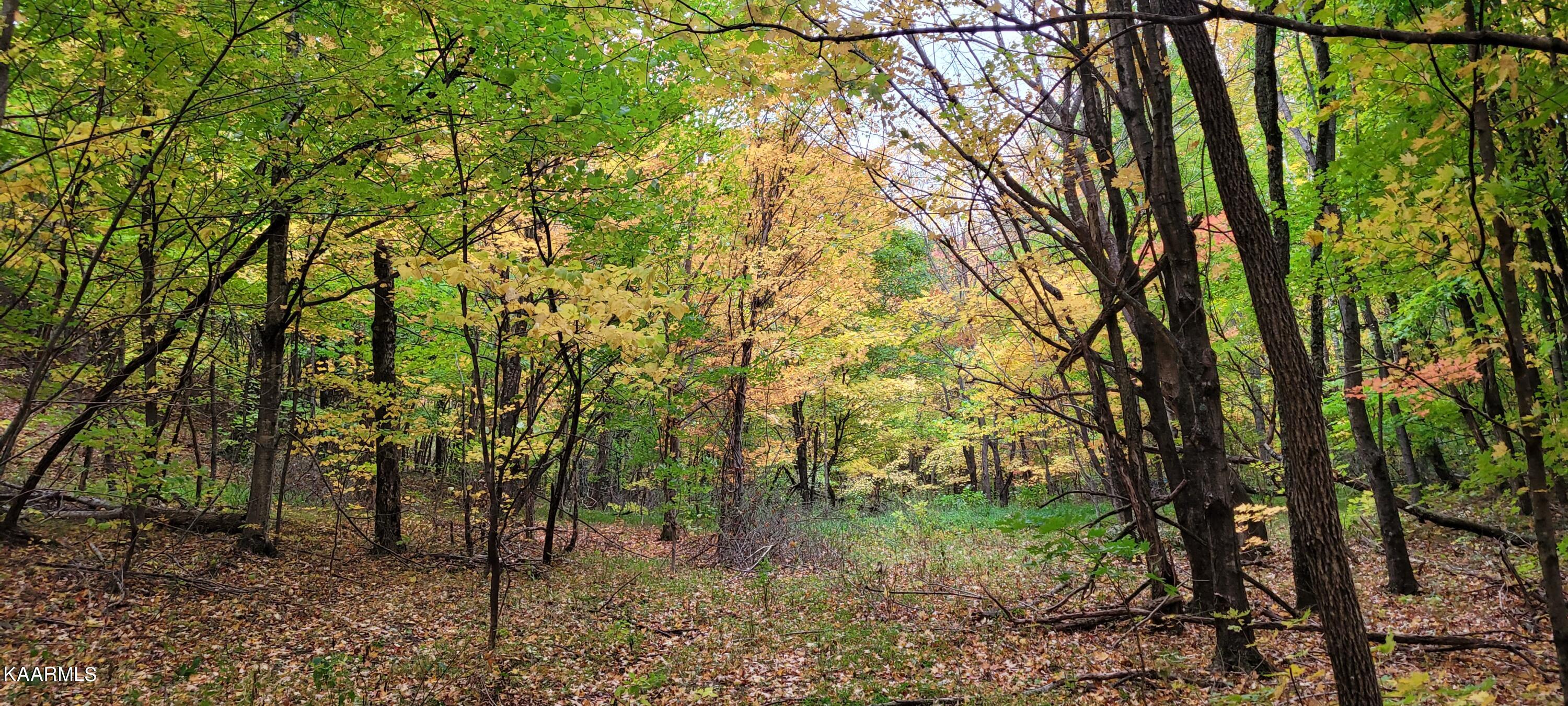 Thompson Trail Winfield, TN 37892 - Photo 21 of 40 Pic #23