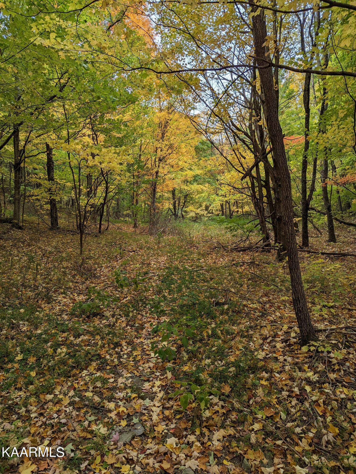 Thompson Trail Winfield, TN 37892 - Photo 23 of 40 Pic #25