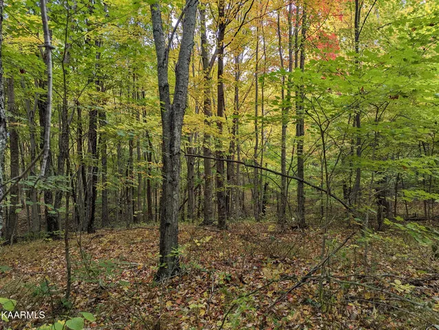 $189,000 | Thompson Trail, Winfield, TN 37892