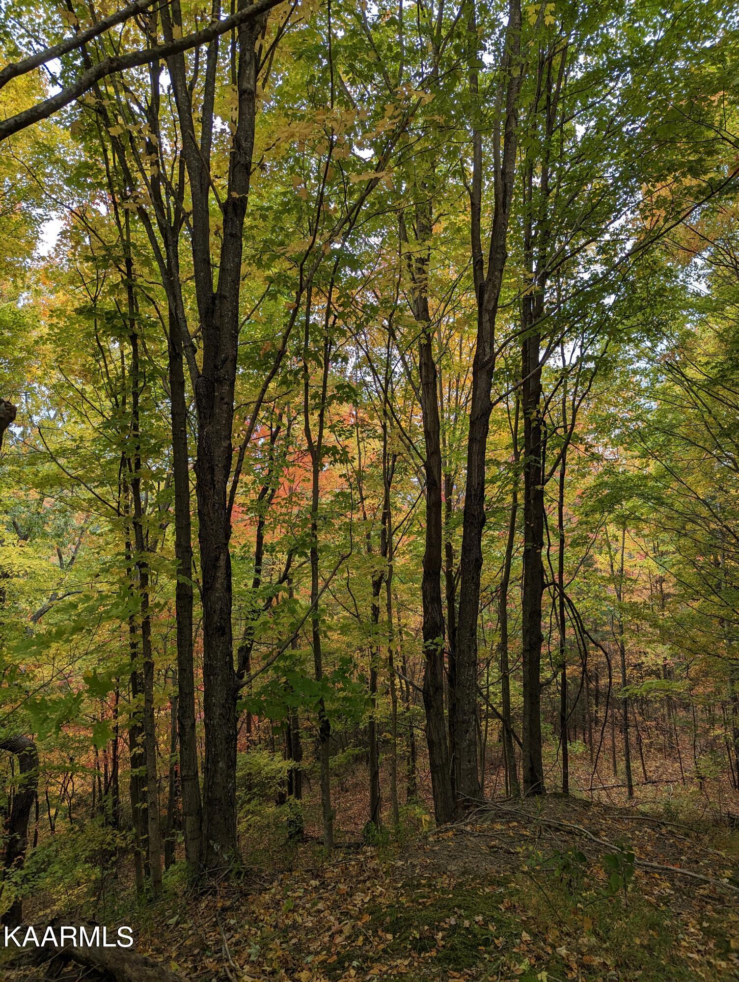 Thompson Trail Winfield, TN 37892 - Photo 25 of 40 Pic #27