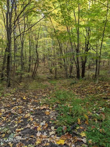 $189,000 | Thompson Trail, Winfield, TN 37892