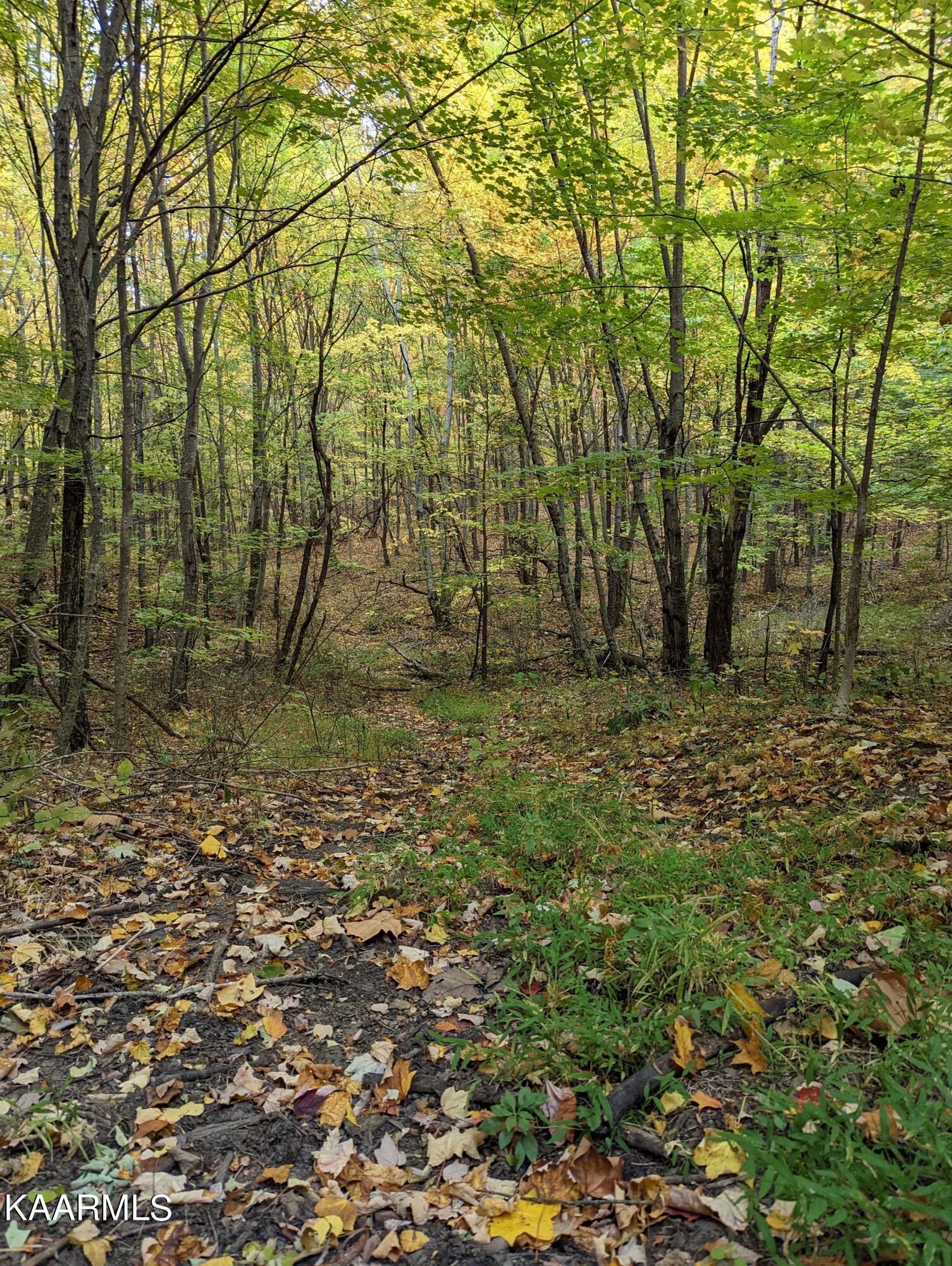 Thompson Trail Winfield, TN 37892 - Photo 26 of 40 Pic #28