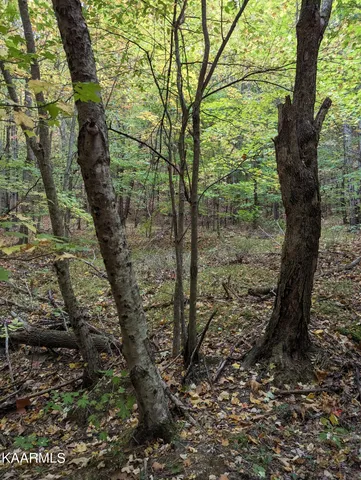 $189,000 | Thompson Trail, Winfield, TN 37892