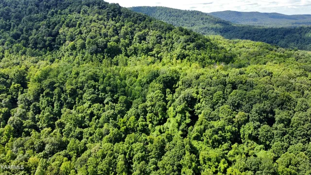 $189,000 | Thompson Trail, Winfield, TN 37892