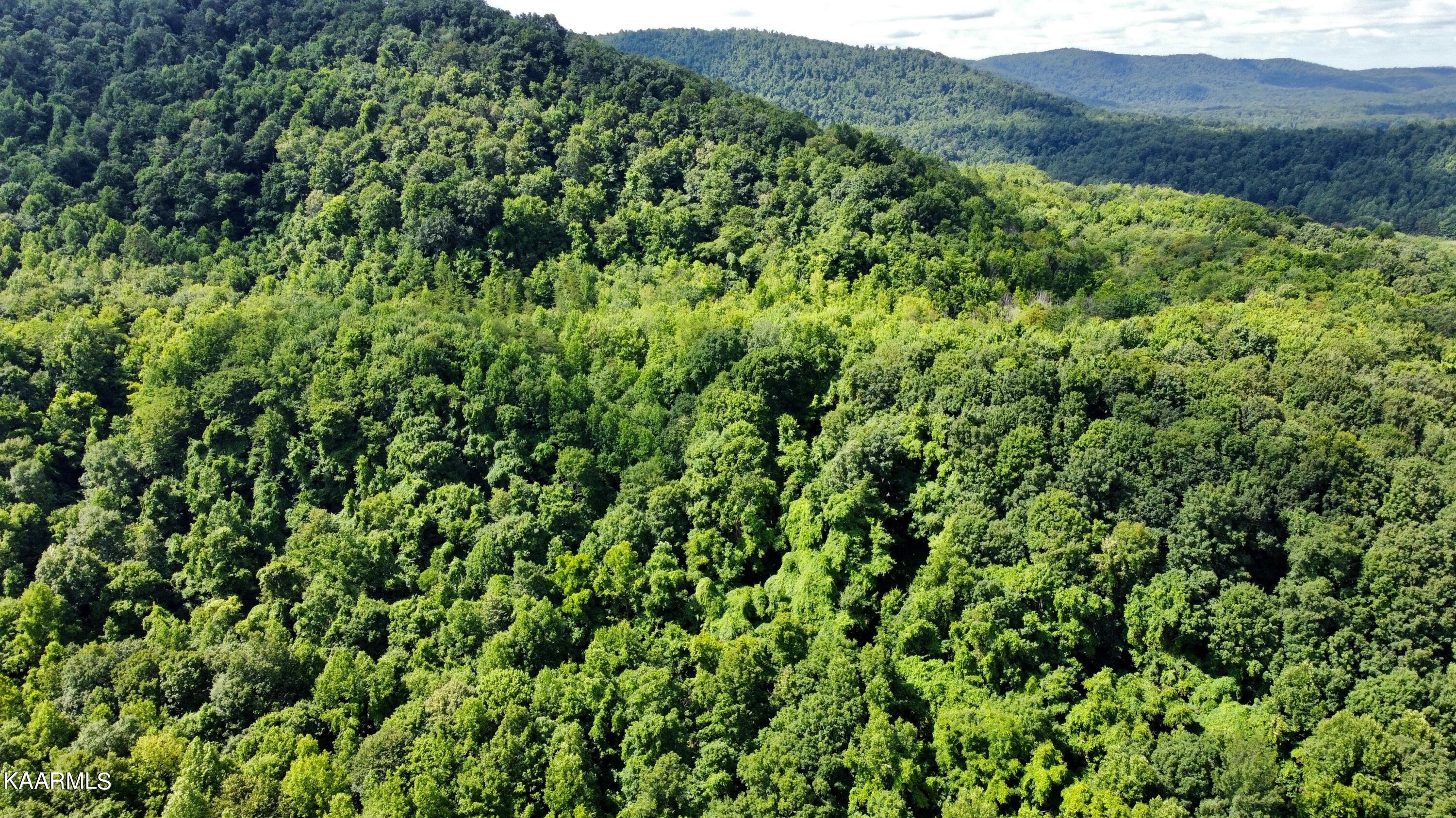 Thompson Trail Winfield, TN 37892 - Photo 29 of 40 E860DDCB-8632-4BD4-A016-B3574177C862