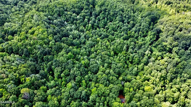 $189,000 | Thompson Trail, Winfield, TN 37892