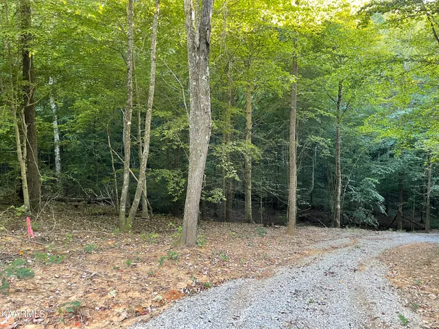 $189,000 | Thompson Trail, Winfield, TN 37892