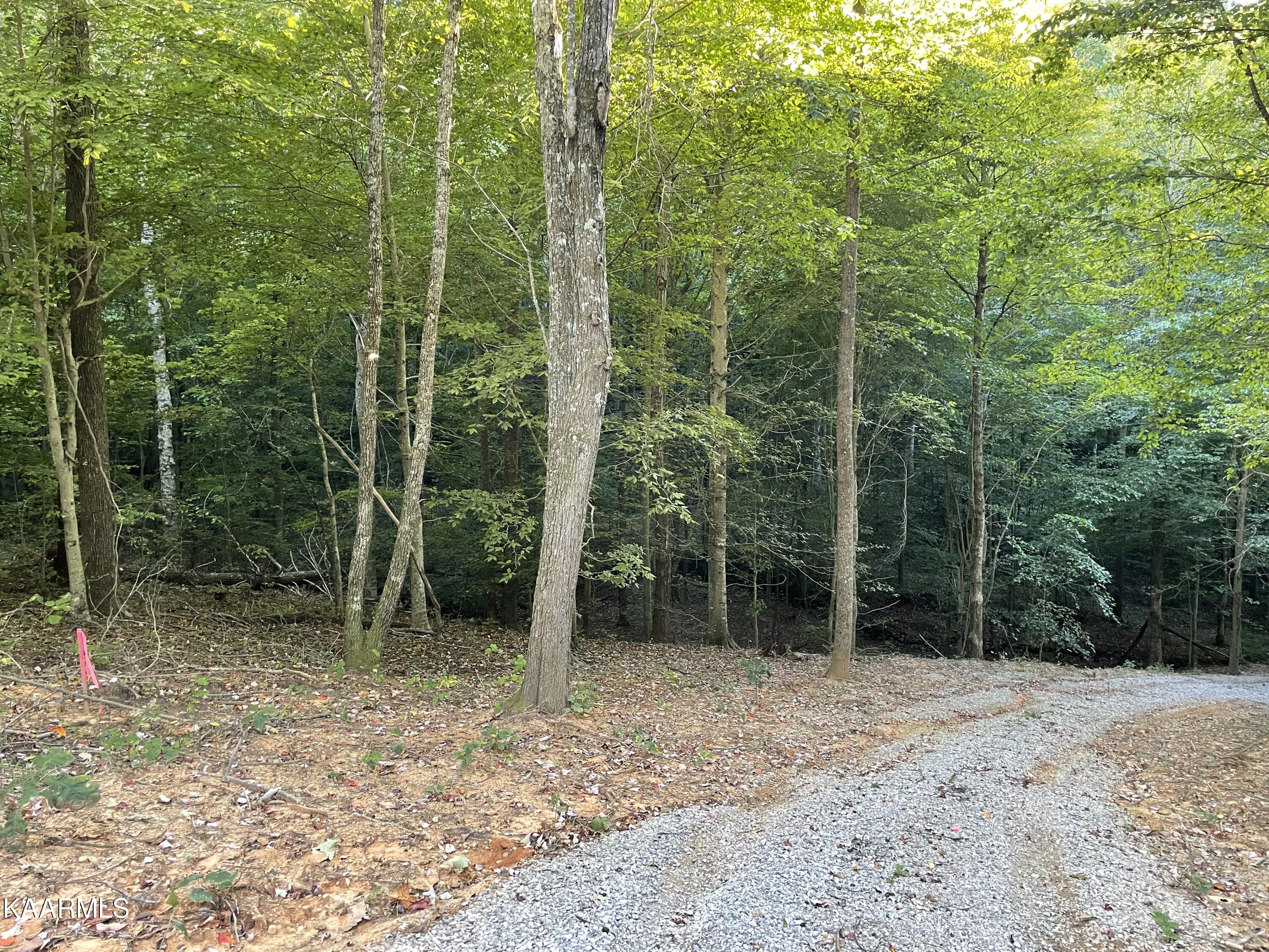 Thompson Trail Winfield, TN 37892 - Photo 3 of 40 Pic #3