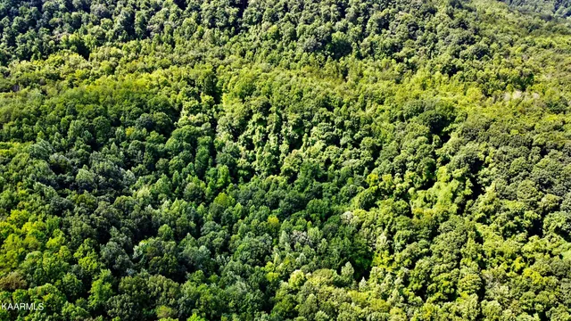 $189,000 | Thompson Trail, Winfield, TN 37892