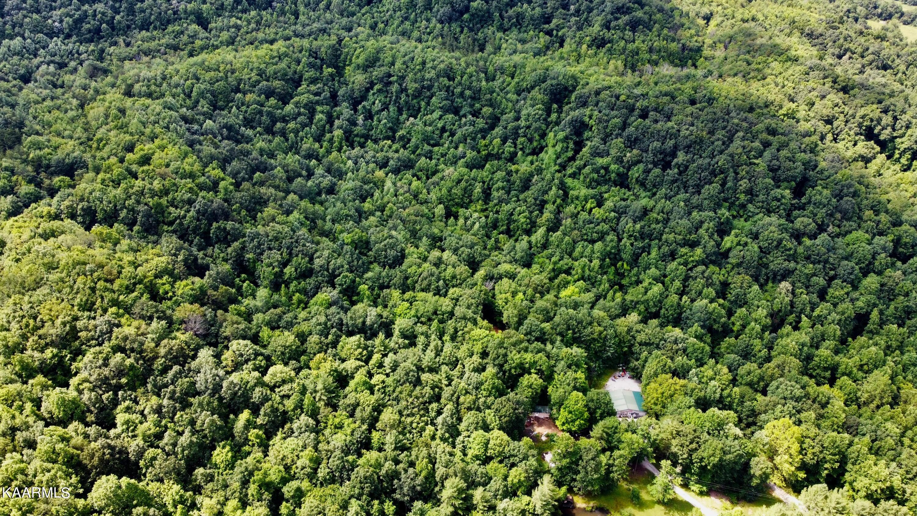 Thompson Trail Winfield, TN 37892 - Photo 32 of 40 37C47A7F-F0FE-4414-9C9A-A27F4F00E19B