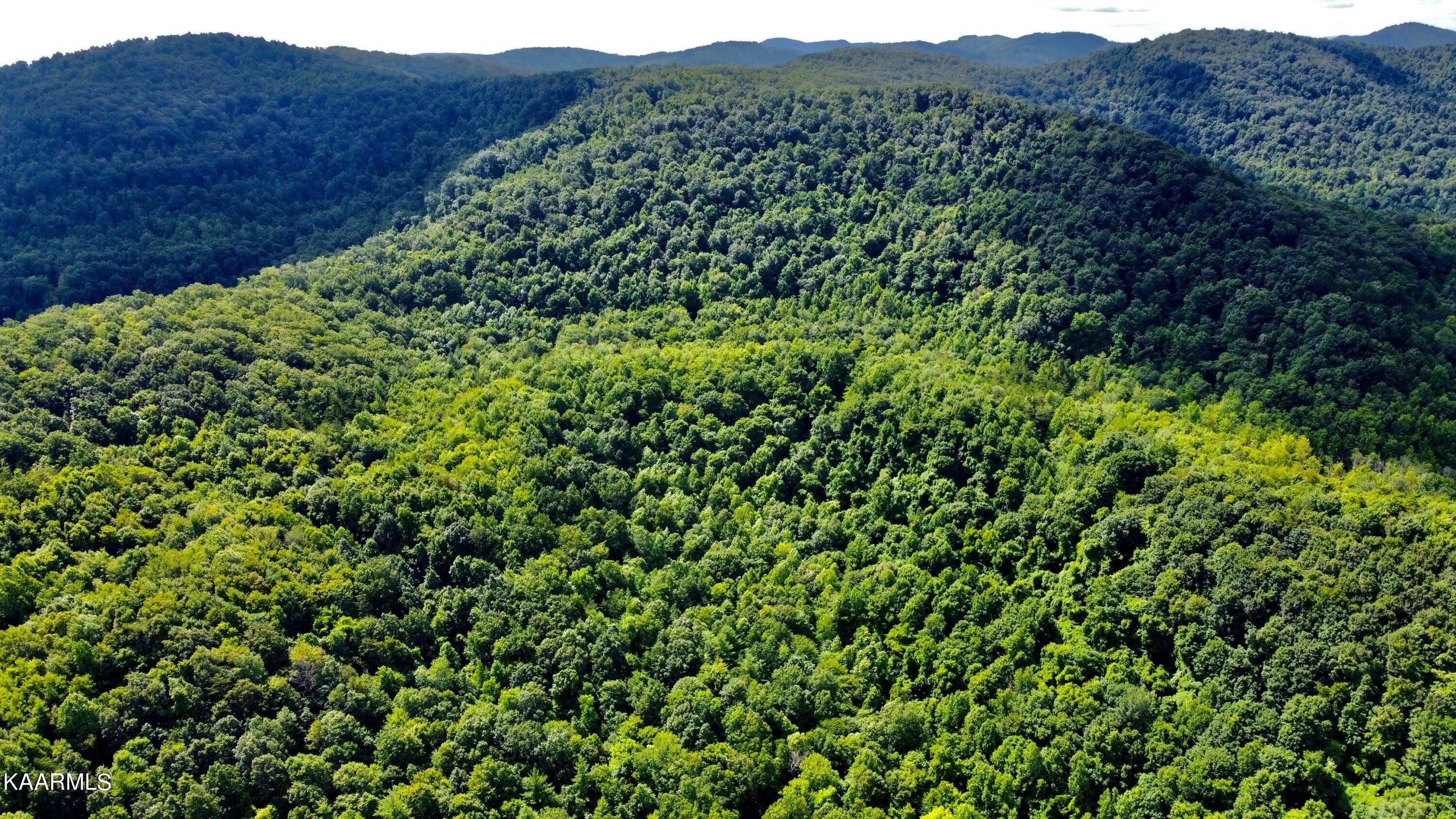 Thompson Trail Winfield, TN 37892 - Photo 34 of 40 93DFD566-F76A-4F9B-ADC9-5458DCE132CC