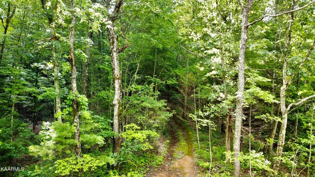 $189,000 | Thompson Trail, Winfield, TN 37892