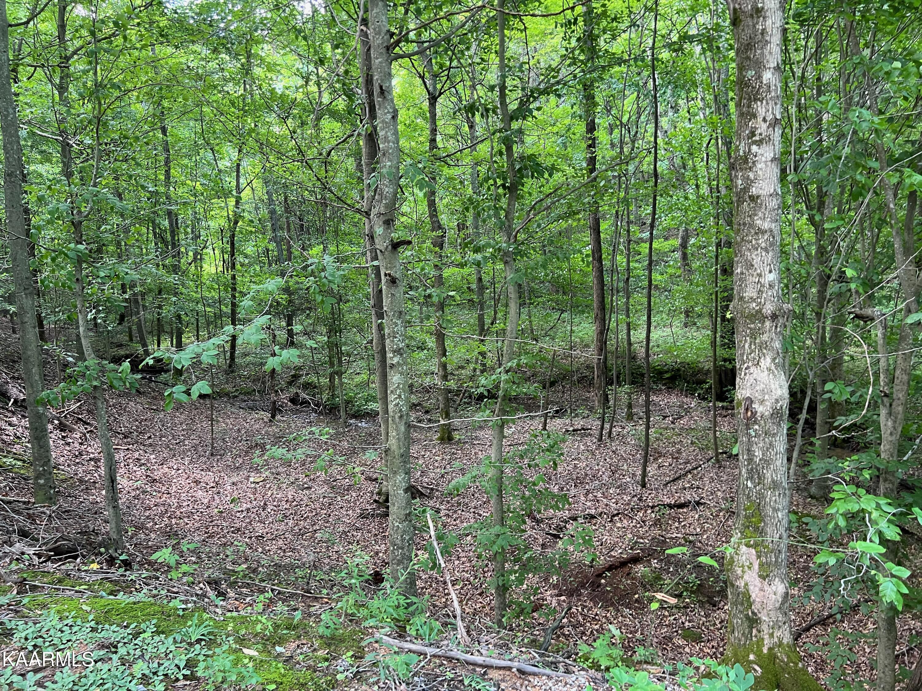 Thompson Trail Winfield, TN 37892 - Photo 37 of 40 171512A1-765B-463F-91A4-23B2A9182D27