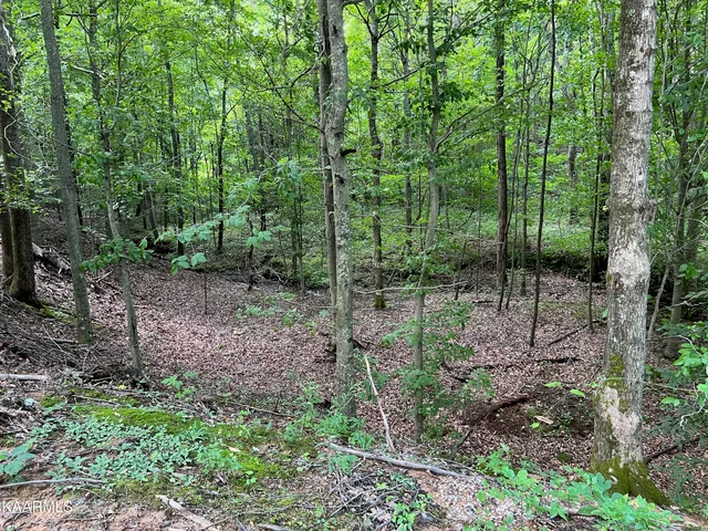$189,000 | Thompson Trail, Winfield, TN 37892