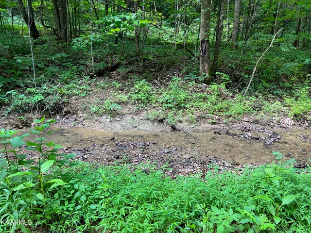 $189,000 | Thompson Trail, Winfield, TN 37892