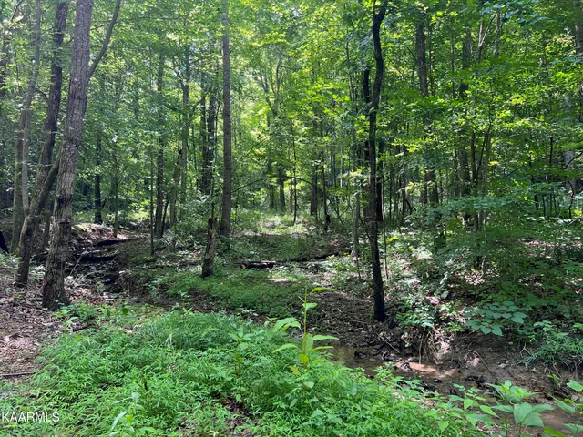 $189,000 | Thompson Trail, Winfield, TN 37892