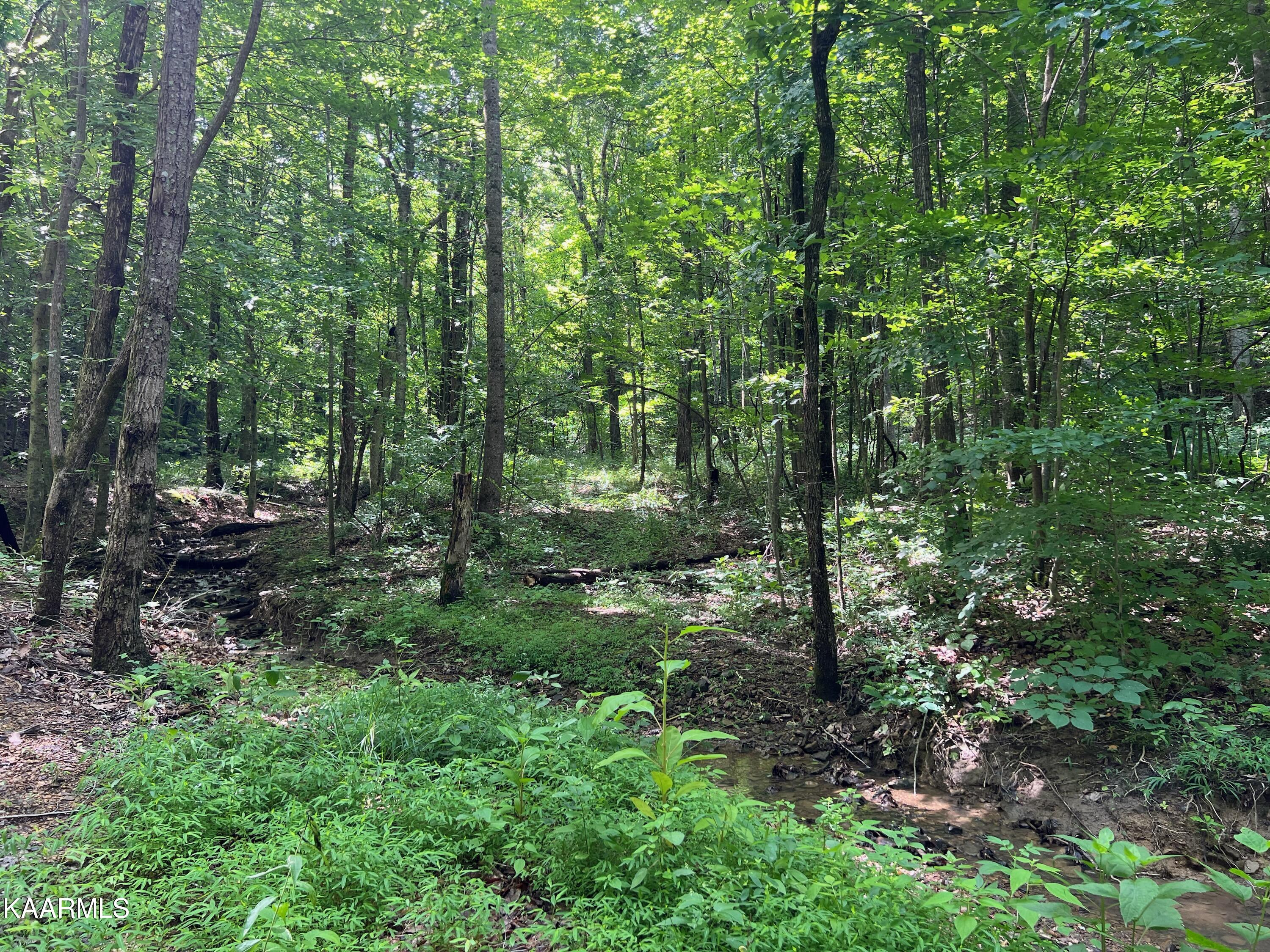 Thompson Trail Winfield, TN 37892 - Photo 40 of 40 1E69C387-A61A-4C4C-8F7A-DBE6A462CDC9