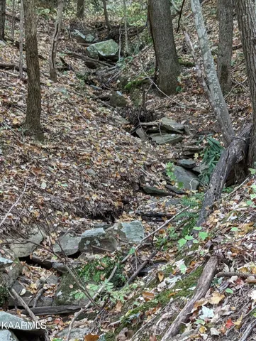 $189,000 | Thompson Trail, Winfield, TN 37892