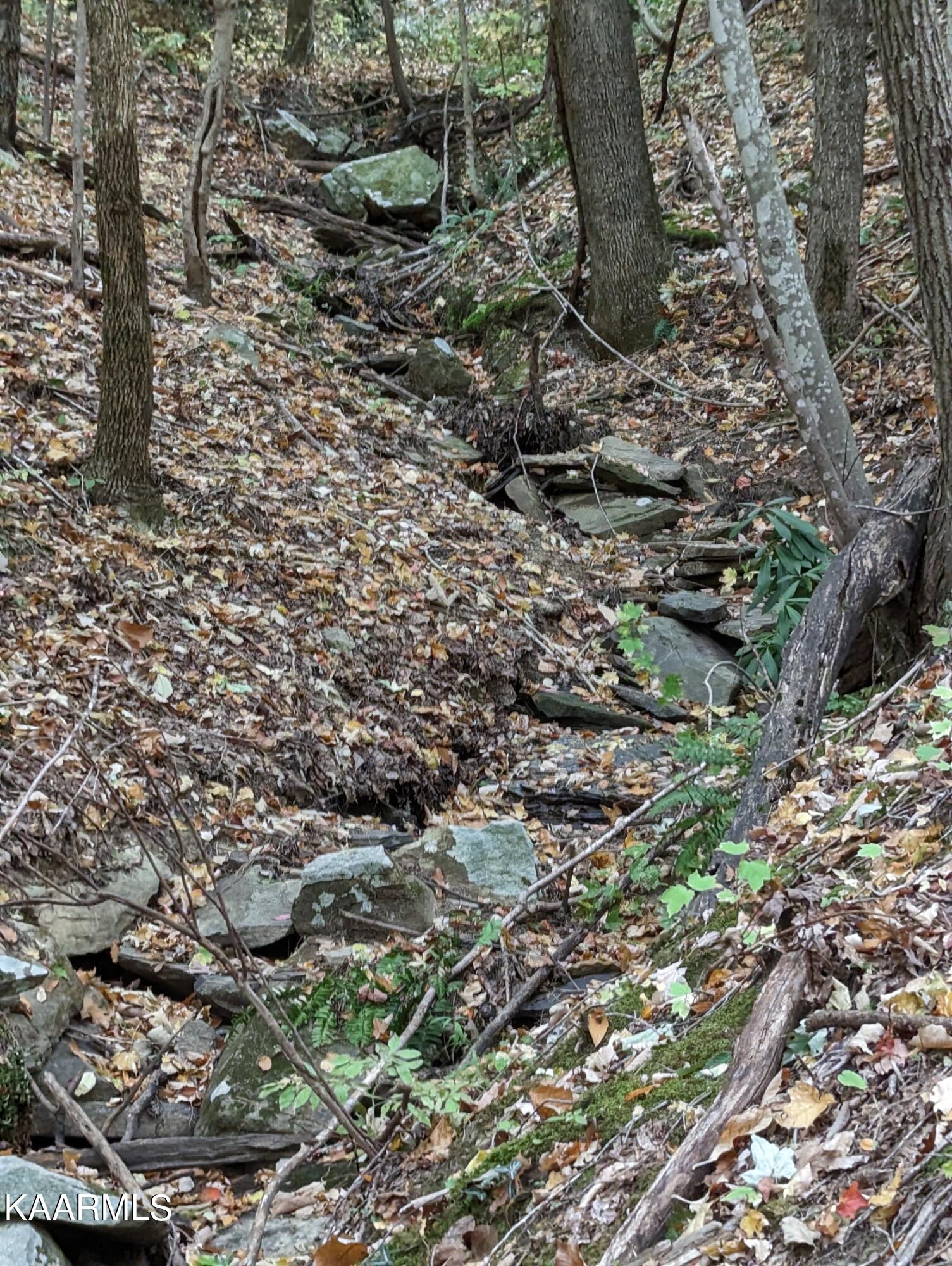 Thompson Trail Winfield, TN 37892 - Photo 4 of 40 Pic #4