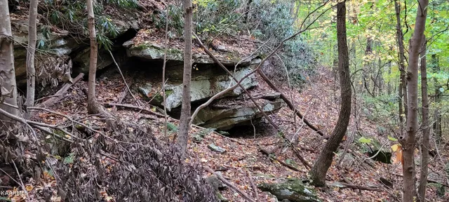 $189,000 | Thompson Trail, Winfield, TN 37892