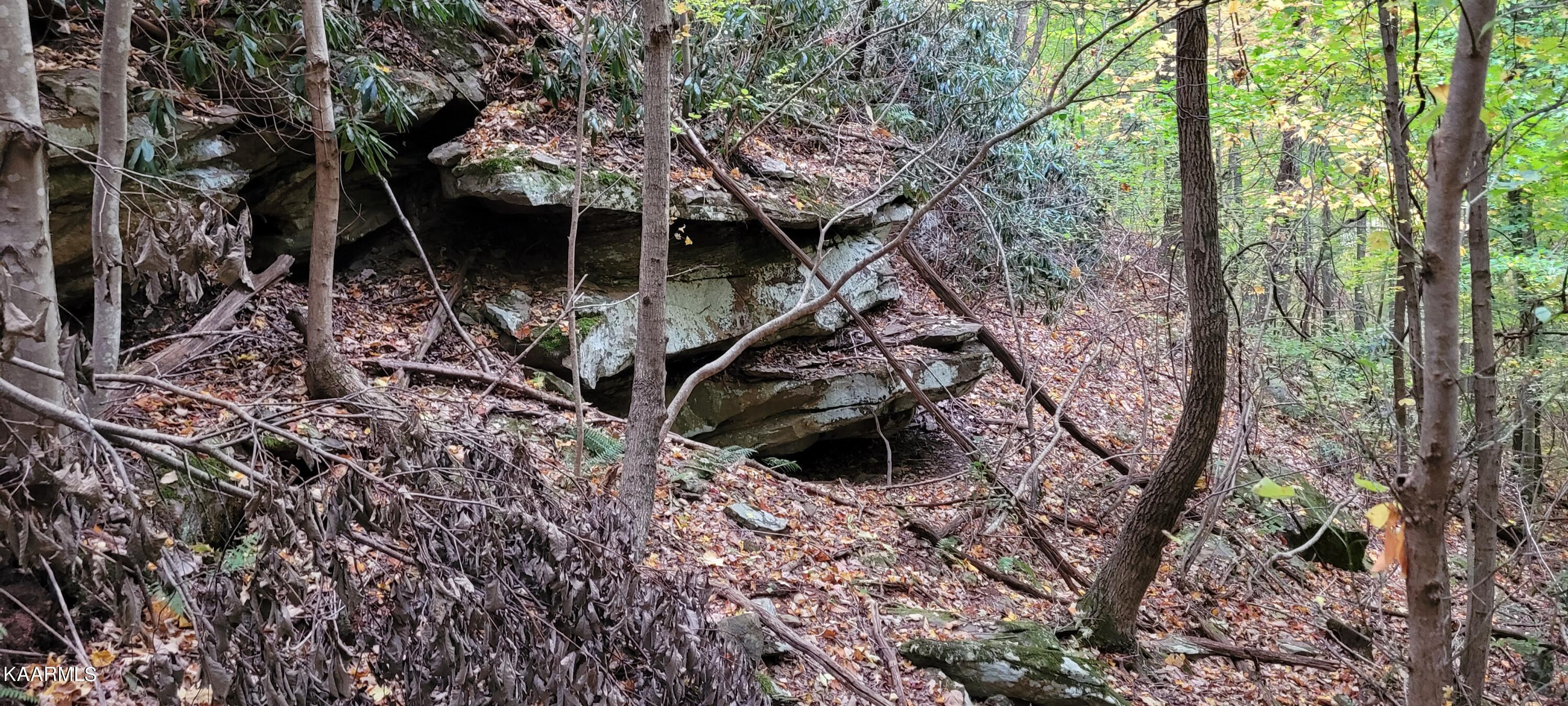 Thompson Trail Winfield, TN 37892 - Photo 5 of 40 Pic #5