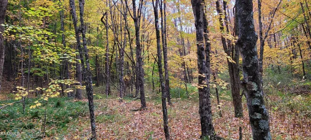 $189,000 | Thompson Trail, Winfield, TN 37892