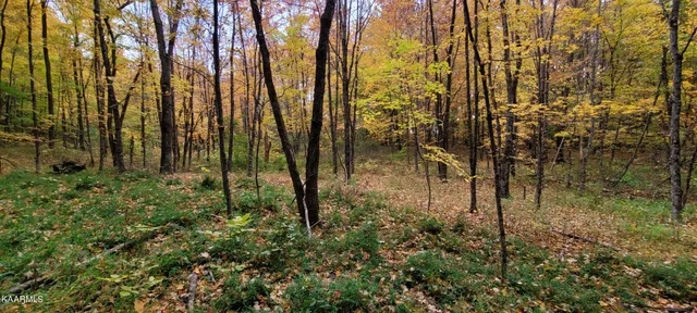 $189,000 | Thompson Trail, Winfield, TN 37892