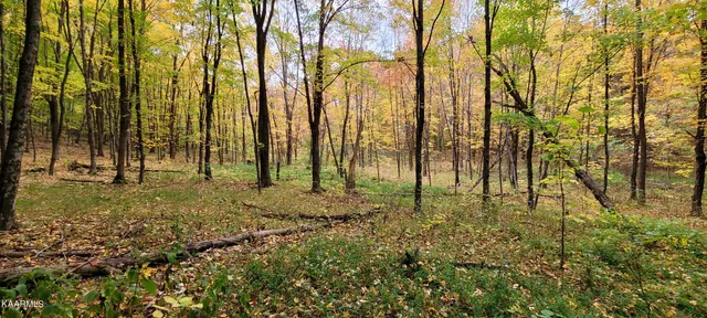 $189,000 | Thompson Trail, Winfield, TN 37892