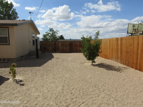 a view of potted plants in backyard of house