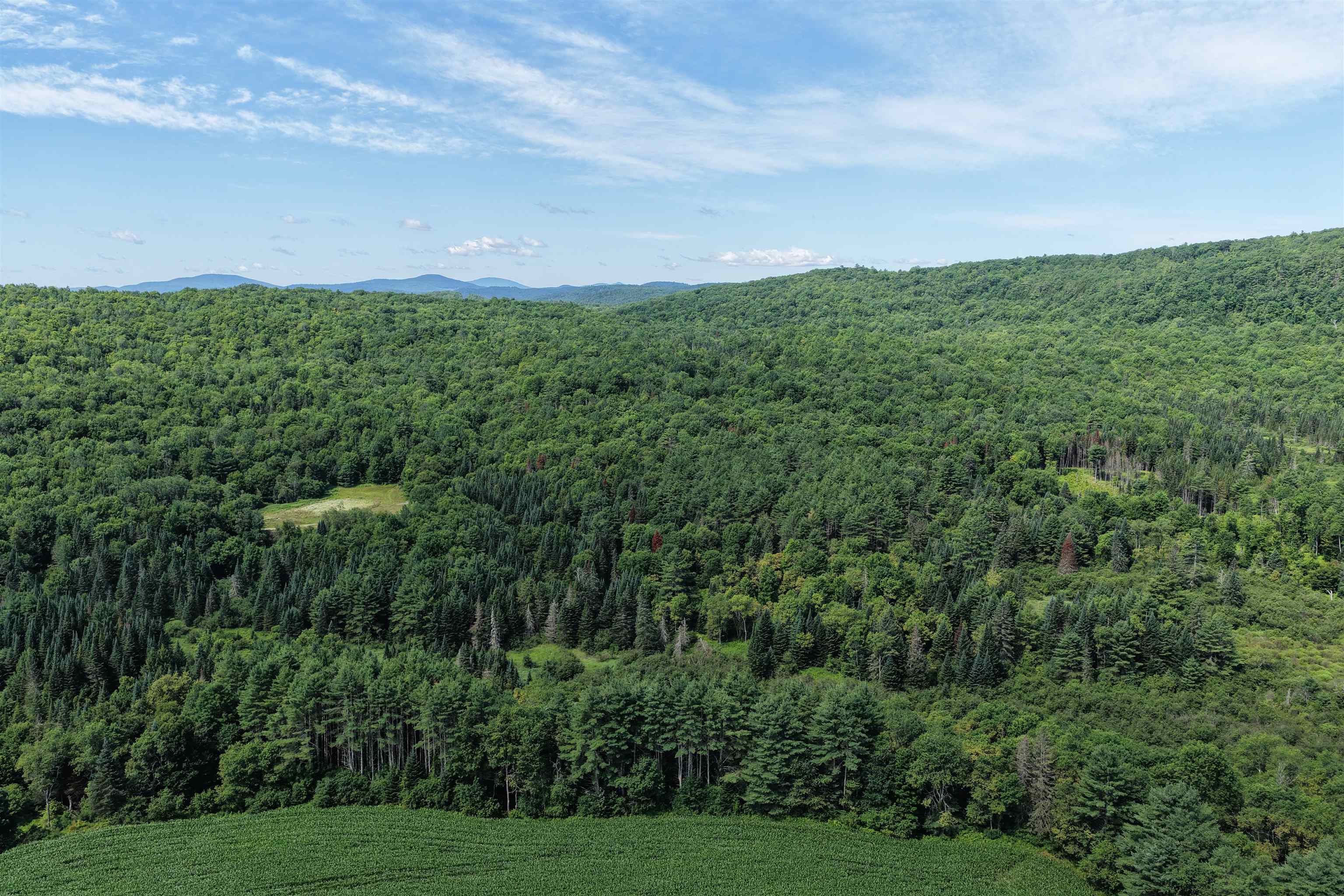 4766 Duck Pond Road Waterford, VT 05819 - Photo 12 of 13 Gallery Image 12