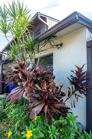 a view of a house with a tree