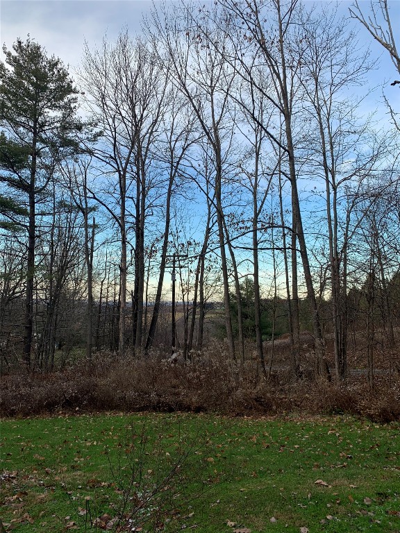 2034-2046 Middle Road Owego, NY 13827 - Photo 3 of 10