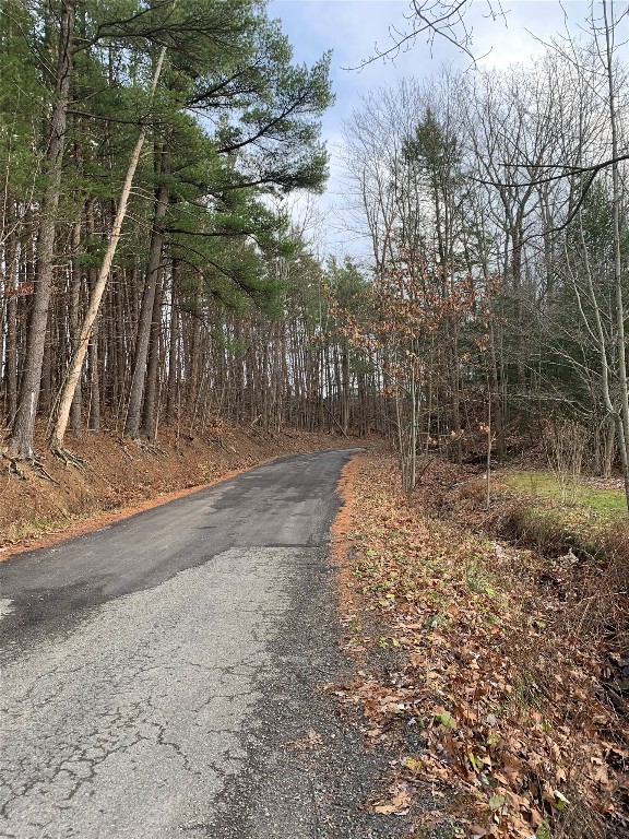 2034-2046 Middle Road Owego, NY 13827 - Photo 4 of 10