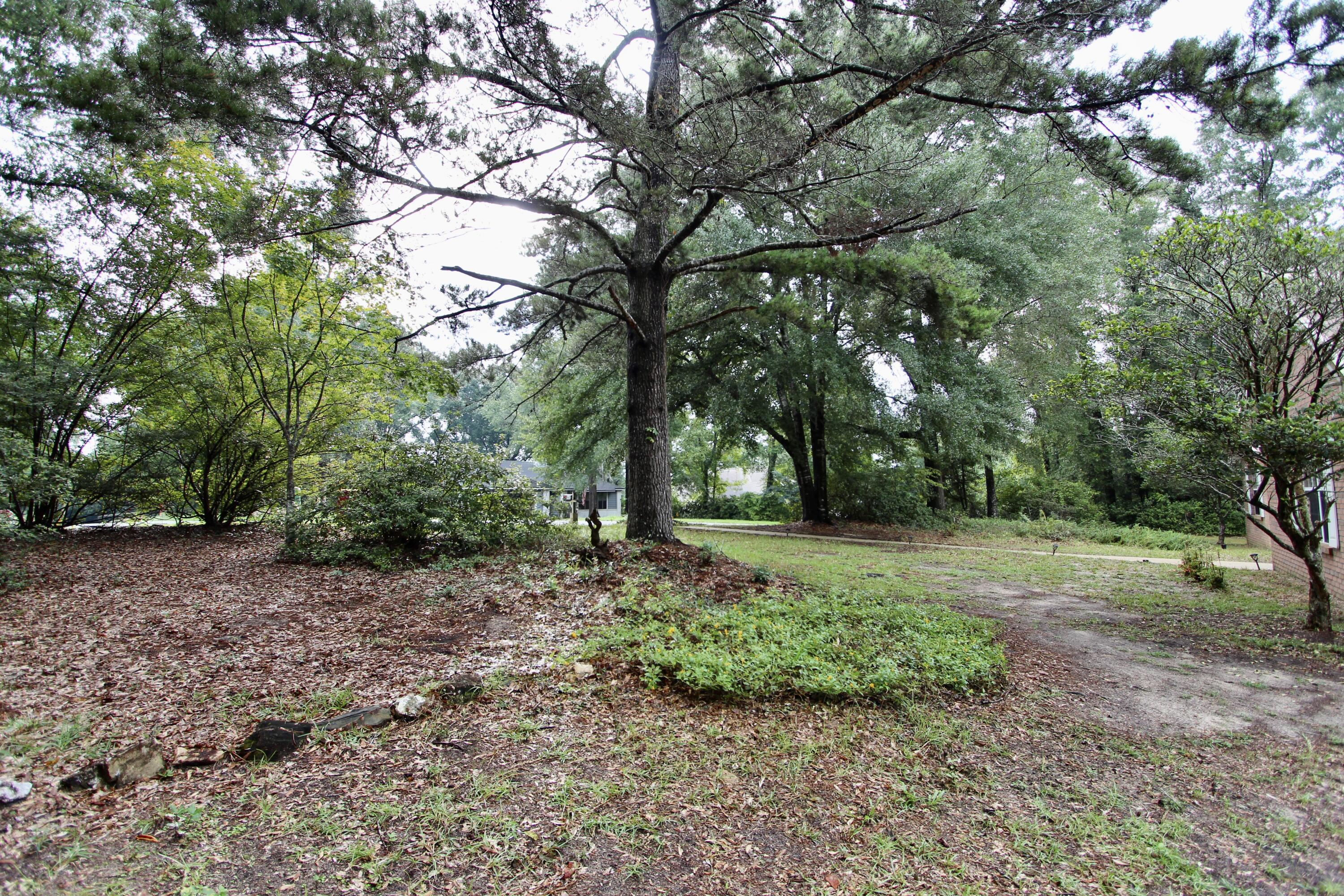 218 Golf Course Drive Crestview, FL 32536 - Photo 4 of 40 IMG_1398