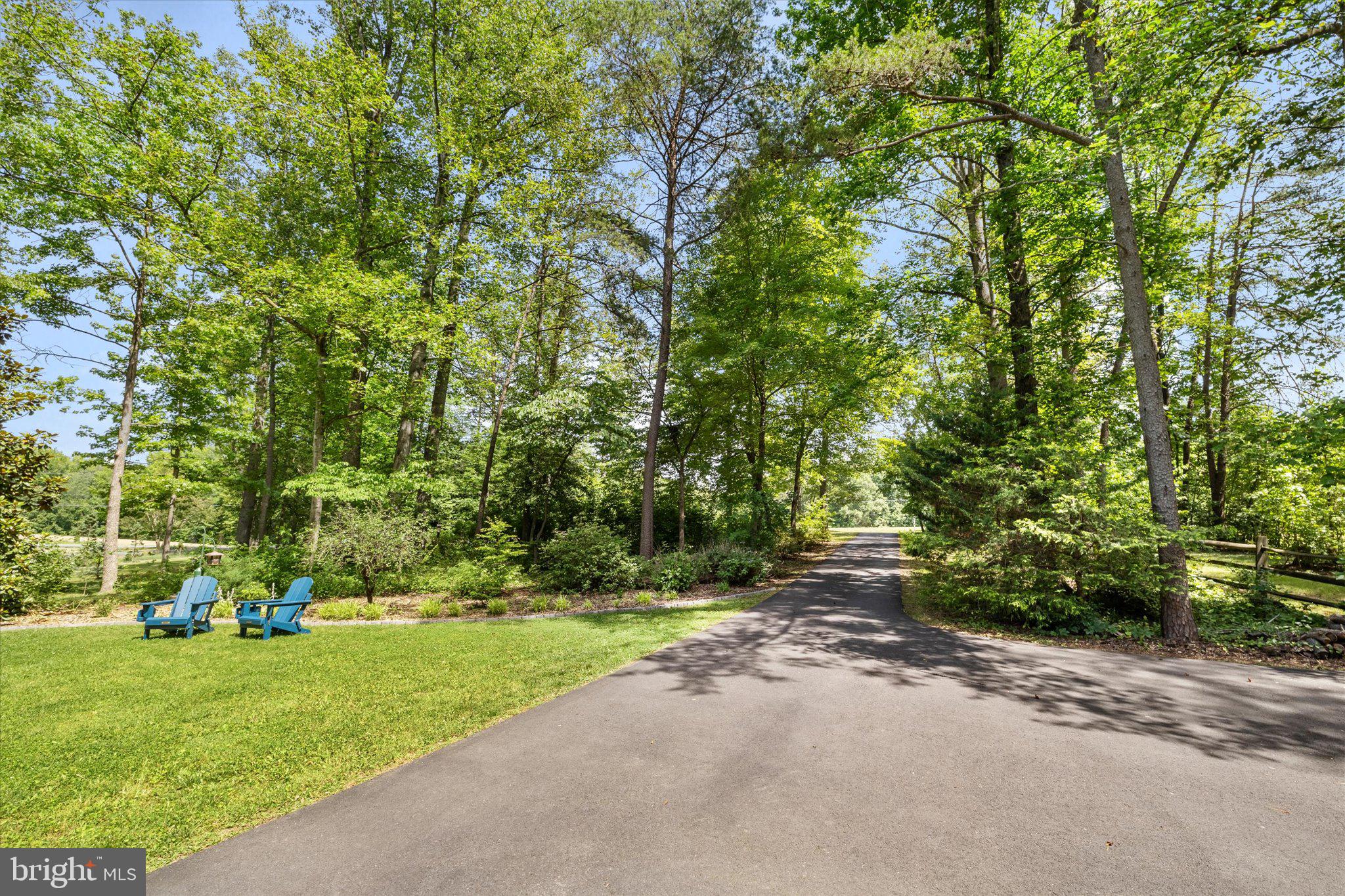 230 Richards Ferry Road Fredericksburg, VA 22406 - Photo 8 of 96 Tranquil path through lush greenery.