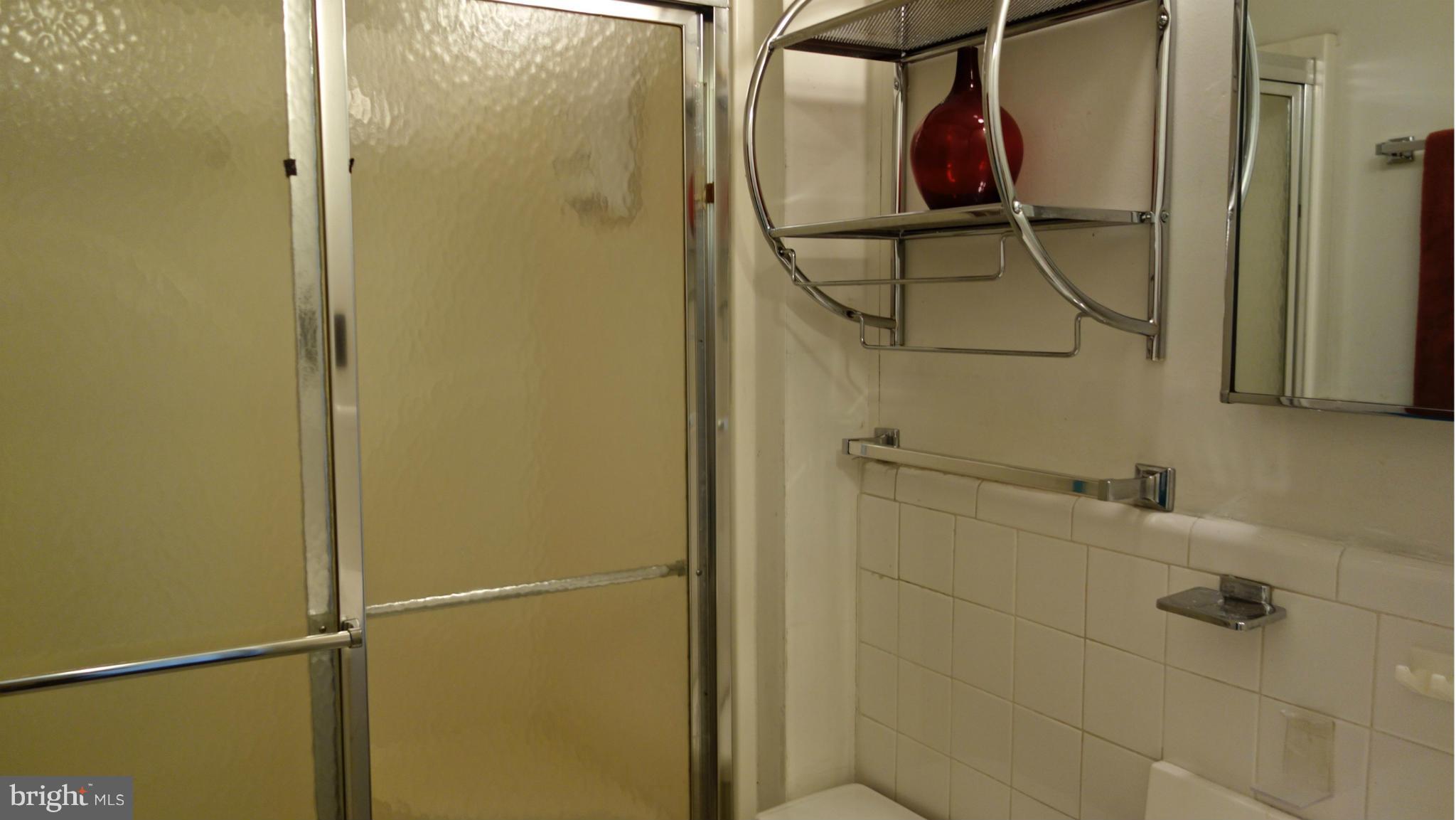 414 4th Street Southeast Washington, DC 20003 - Photo 26 of 30 Bath (Master)