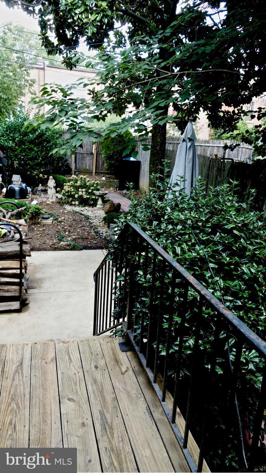 414 4th Street Southeast Washington, DC 20003 - Photo 28 of 30 Exterior (Rear) back Yard