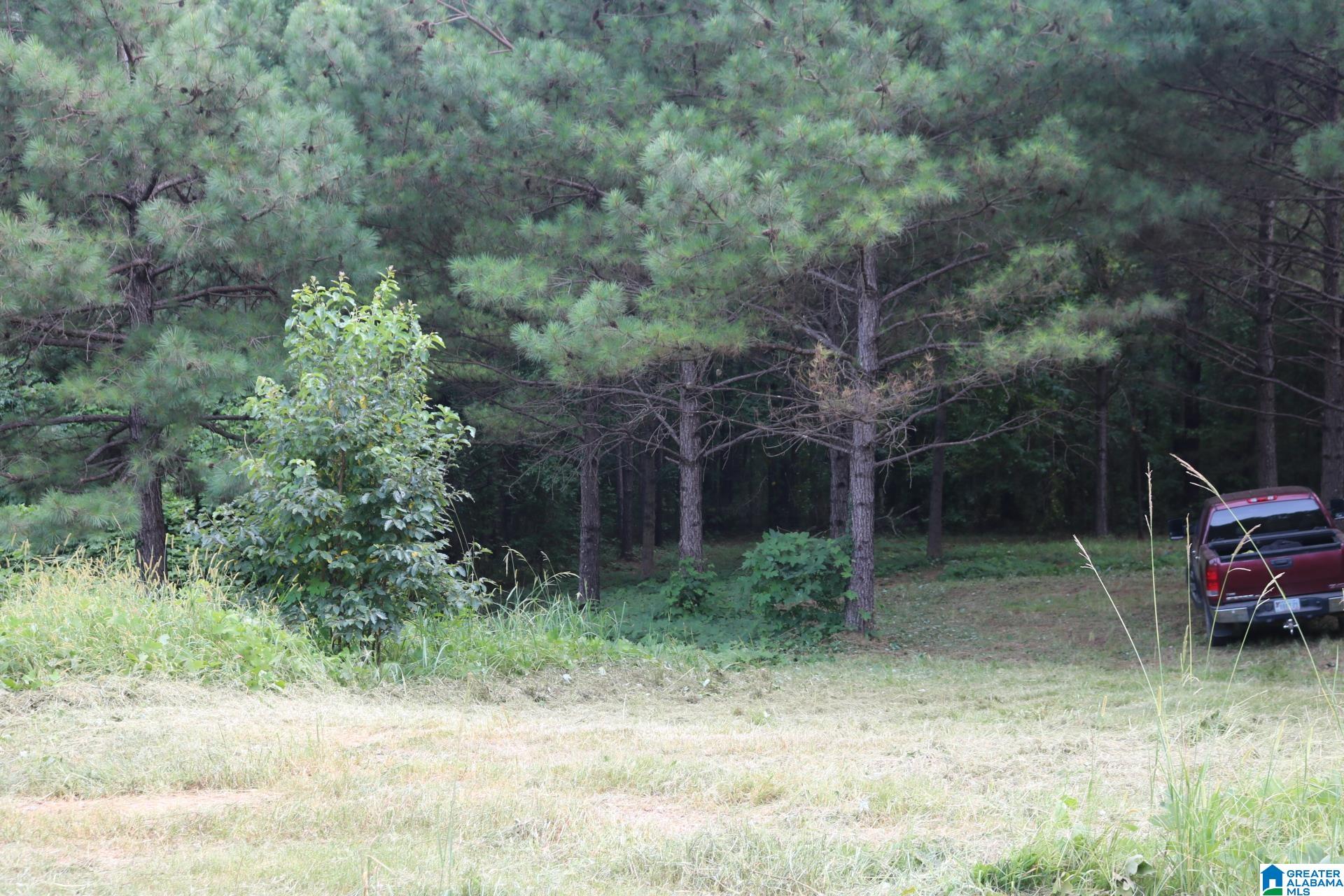 1920 Bruce Shaw Road Adger, AL 35006 - Photo 11 of 15