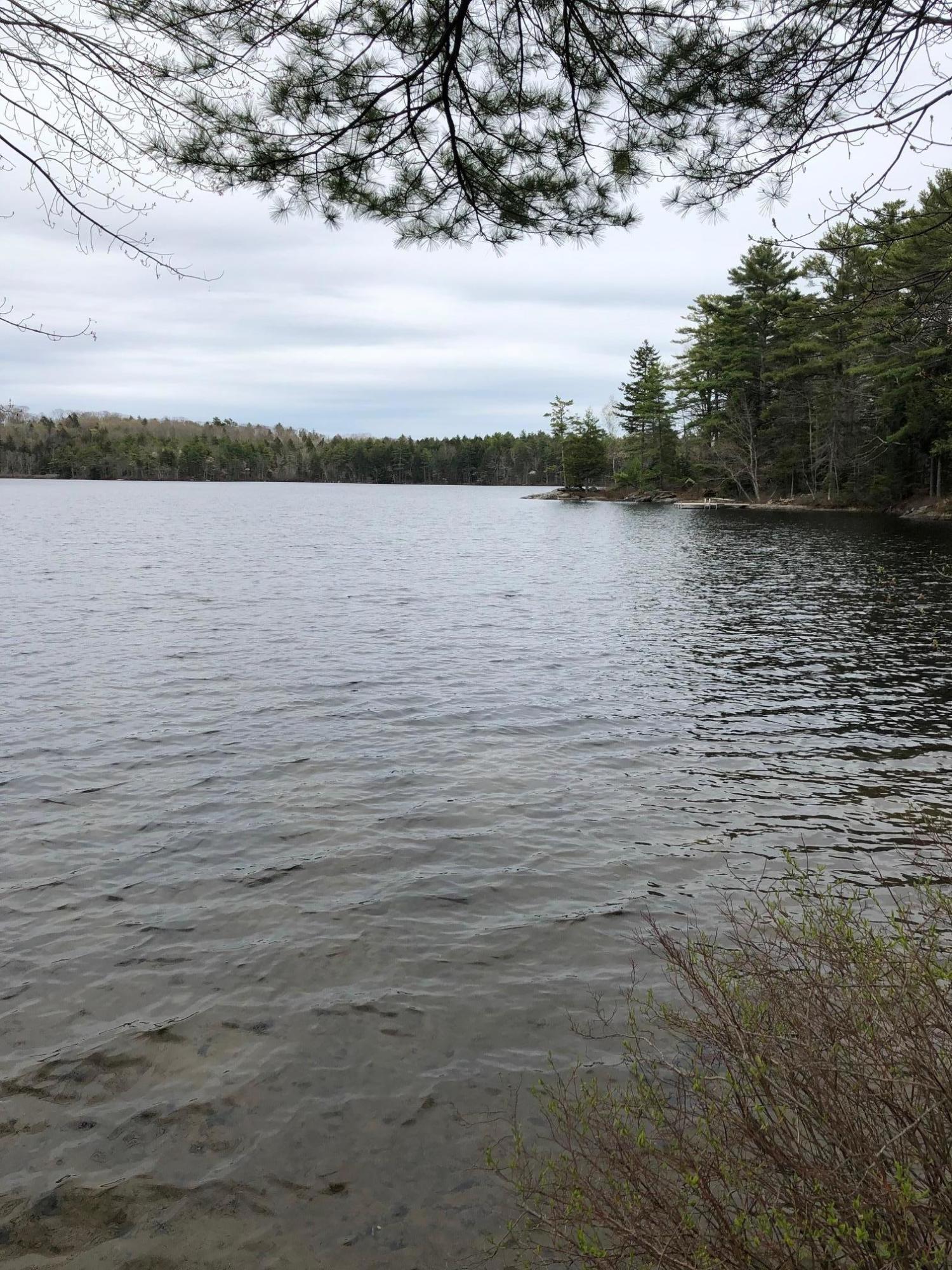 0 McCurdy Pond Road Bremen, ME 04551 - Photo 8 of 9 IMG_1378