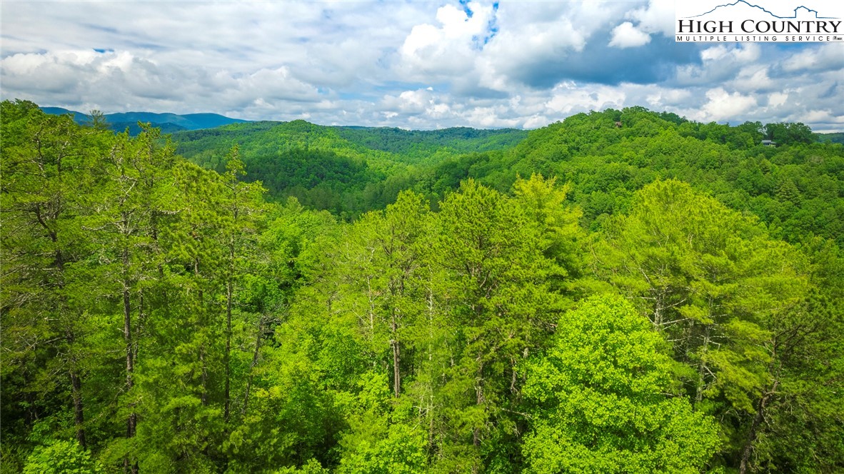 Lot 1 Reynolds Parkway Ferguson, NC 28624 - Photo 3 of 10 a view of a big yard